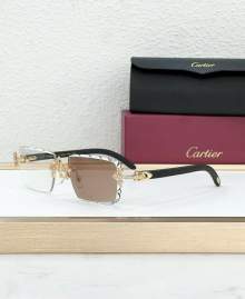 Picture of Cartier Sunglasses _SKUfw77796328fw
